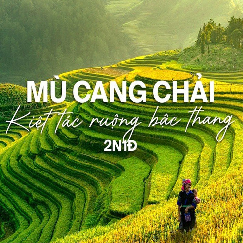 MÙ CĂNG CHẢI – ĐÈO KHAU PHẠ – TÚ LỆ 2N1Đ MÙ CĂNG CHẢI – ĐÈO KHAU PHẠ – TÚ LỆ 2N1Đ