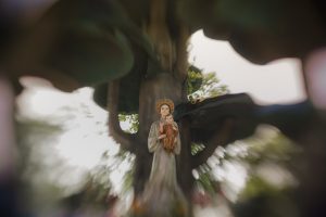 VỀ BÊN MẸ LA VANG  – MẸ TRÀ KIỆU 3N2D - EMMAUS TRAVEL