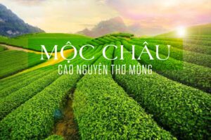 KHÁCH SẠN TẠI MỘC CHÂU